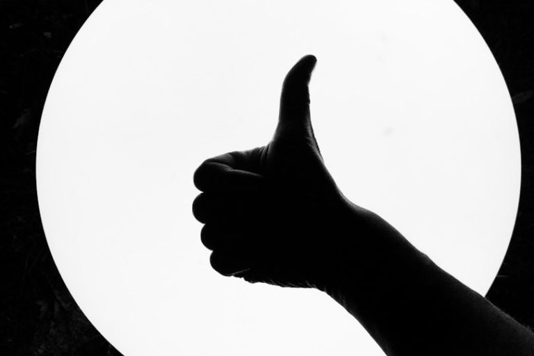 Bewertungen und Rezessionen